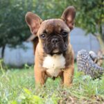 зображення_viber_2025-09-17_23-04-21-413