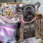 зображення_viber_2025-09-19_12-02-55-077