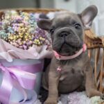 зображення_viber_2025-09-19_12-02-55-130