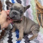 зображення_viber_2025-09-19_12-02-55-146