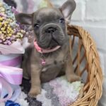 зображення_viber_2025-09-19_12-02-55-795